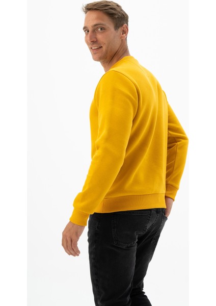 Erkek Bisiklet Yaka Sweatshirt K24124904701