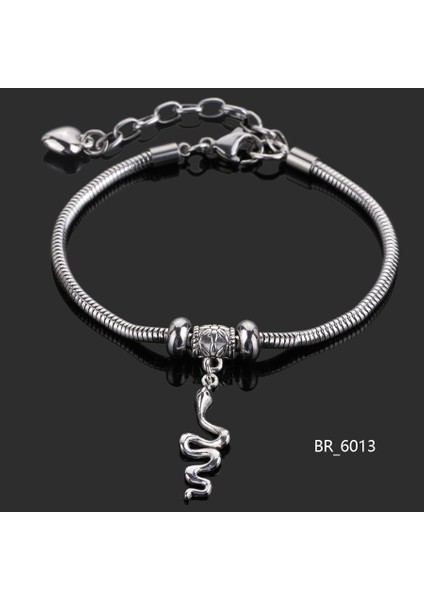 BR6013 Yılan Kadınlar Için Paslanmaz Çelik Bilezik Yeni Moda Kanat Melek Aşk Bilezikleri El Takıları Özel Hediye Arkadaş Şans Kolye (Yurt Dışından)