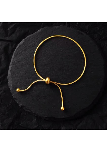 A-S76 Kadın Kız Erkek Boncuk Takı Hediye Için Basit Tasarım Titanyum Çelik Çekilebilir Ayarlanabilir Bilezik Altın Renk Yılan Zincir Bilezik (Yurt Dışından)