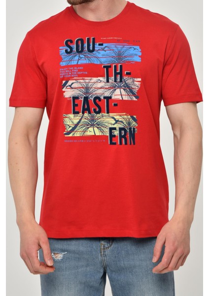 Erkek Bisiklet Yaka Tişört Y22344402601