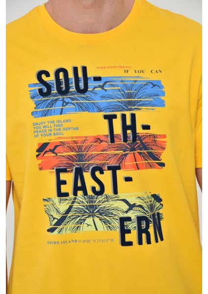 Erkek Bisiklet Yaka Tişört Y22344402601 indirimleri