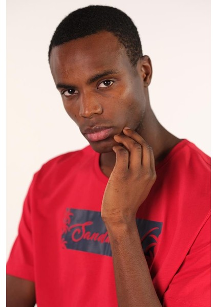 Erkek Bisiklet Yaka Tişört Y22344400401