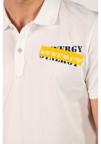 Erkek Polo Yaka Tişört Y22374301001
