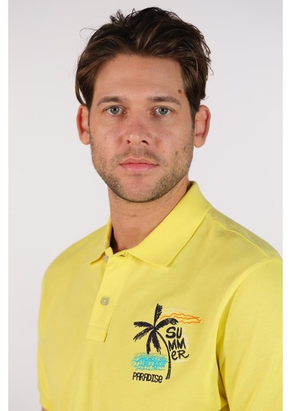 Erkek Polo Yaka Tişört Y22374302001 fırsatları