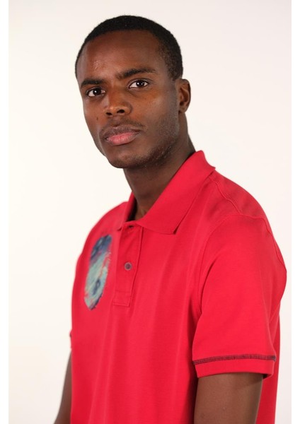 Erkek Polo Yaka Tişört Y22374300401 indirimleri