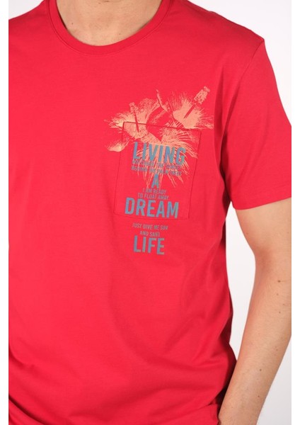 Erkek Bisiklet Yaka Tişört Y22344401001 indirimleri