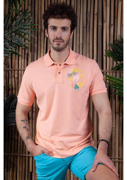 Erkek Polo Yaka Tişört Y21374273301 fırsatları
