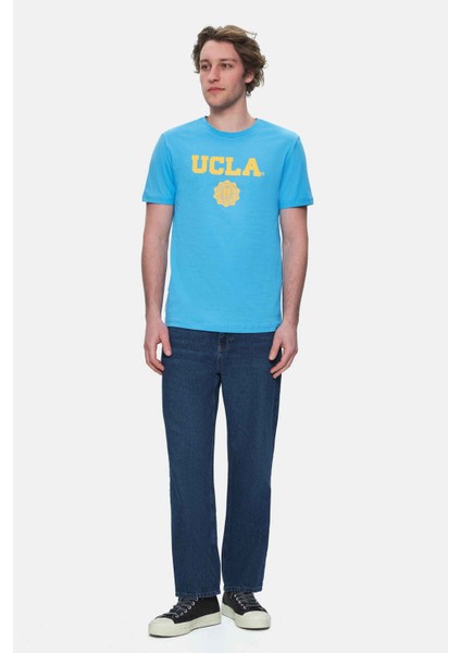 GAYLEY Mavi Bisiklet Yaka Baskılı Standard Fit Erkek Tshirt modelleri