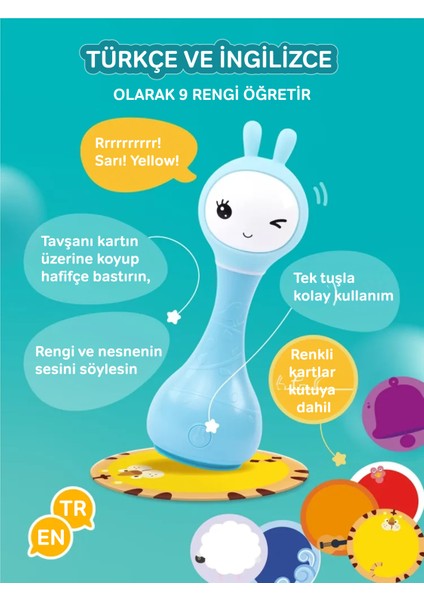 Akıllı Tavşan Mavi