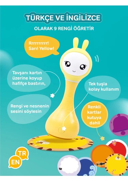 Akıllı Tavşan Sarı