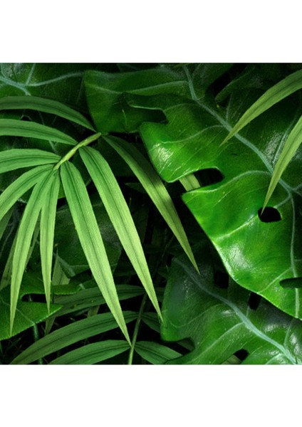 3 Boyutlu Duvar Kağıdı Tropikal Palmiye Yaprakları - Ev Dekorasyon Duvar Paneli En x Boy modelleri