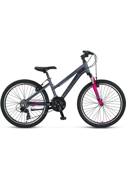 Wıldfıre L-24-V Kadın Dağ Bisikleti 330H 24 Jant 21 Vites Antrasit Pembe