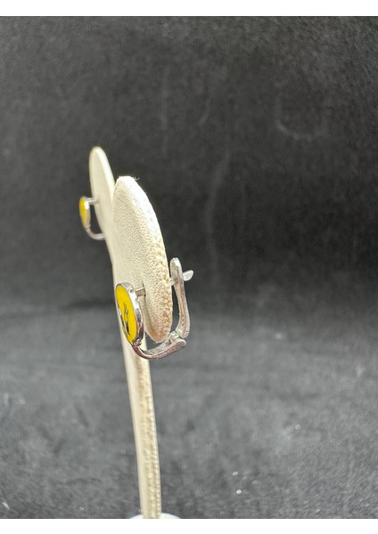 Tweety Gümüş Çocuk Küpesi modelleri