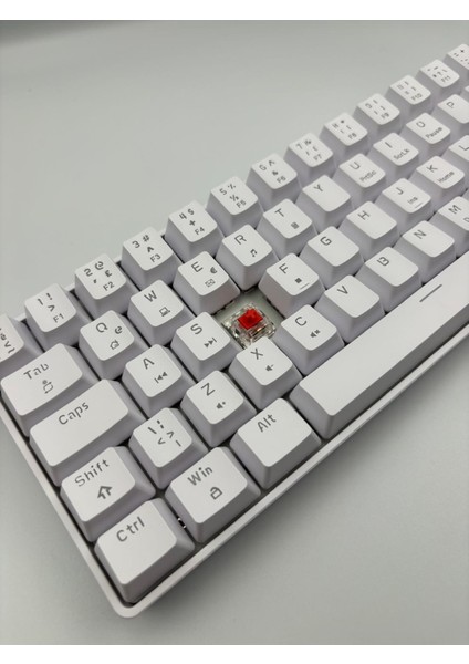 T60 Beyaz Renk Kırmızı Switch Rgb Mekanik Kablolu Driverli Oyuncu Klavyesi T60 Mini Türkçe Q Klavye