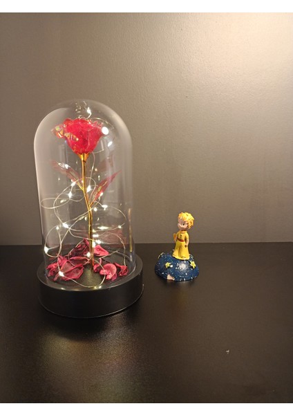 Işıklı Dekoratif Kırmızı Sonsuzluk Gülü Teraryumu – Sevgiliye, Anneye Özel Hediye -13 x 21 cm
