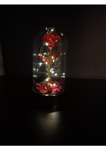 Işıklı Dekoratif Kırmızı Sonsuzluk Gülü Teraryumu – Sevgiliye, Anneye Özel Hediye -13 x 21 cm
