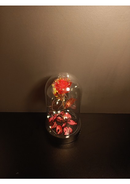 Işıklı Dekoratif Kırmızı Sonsuzluk Gülü Teraryumu – Sevgiliye, Anneye Özel Hediye -13 x 21 cm