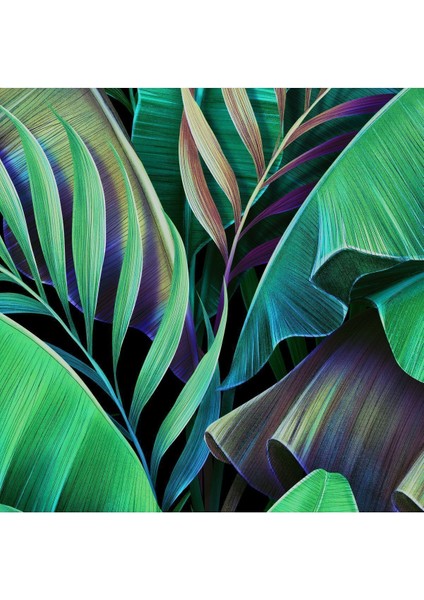 Duvar Kağıdı Botanik Güzellik Tekstil Kumaş Duvar Kağıdı - Kolay Uygulama En x Boy fiyatları