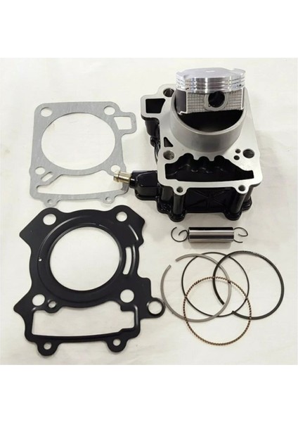 Bajaj Pulsar Ns 200 - Rs 200 Silindir Kit