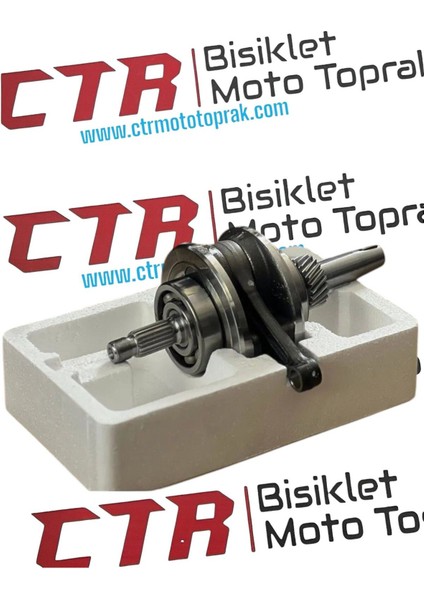 Cg 139 Krank Çamlı 13PERNO