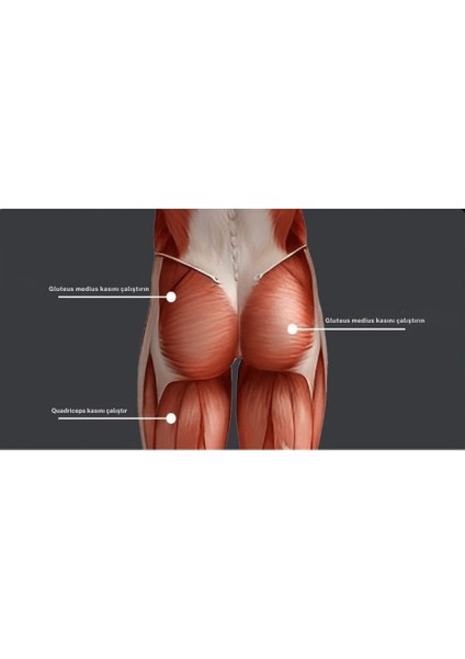 Kalça Düzenleyici Kegel Egzersiz Aleti Bacak Pelvik Kas Antrenman Cihazı Direnç Ayarlı 10-35kg Spor Fitness Ev Egzersizi Için Uygun Pilates Ekipmanı fiyatları