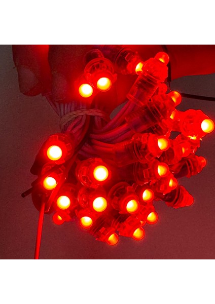 LED Piksel Işık Dış Mekan Işık IP66 Dc 12V 12MM Kırmızı Renkli Noel Yılbaşı Dekoratif Aydınlatma Su Geçirmez Reklam Tabela Perde LED fırsatları