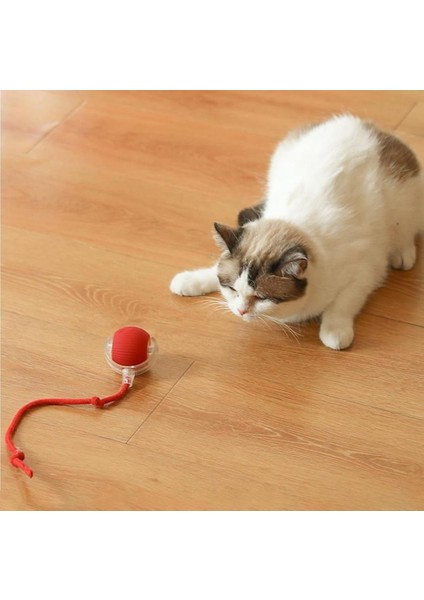 Interaktif Şarjlı Kedi Oyuncağı
