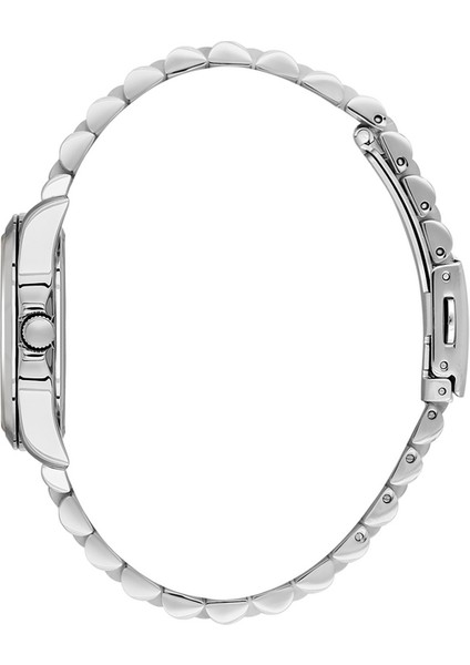 Danıel Kleın DKE.1.10848-1 Premium Kadın Kol Saati fiyatları