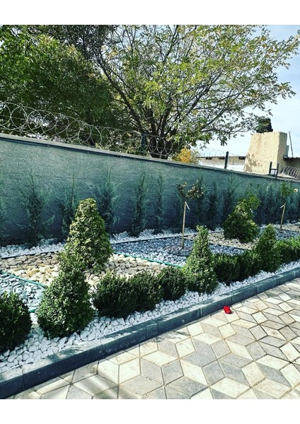 5KG BEJ Dolomit Taşı 20-50MM Bahçe Süs Taşı Akvaryum Süs Taşı Teraryum Süs Taşı Dekoratif Taş