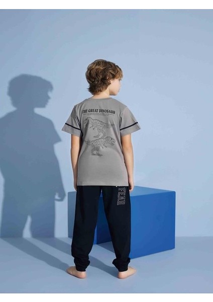 Erkek Çocuk Dinazor Desenli Pijama Takımı fiyatları