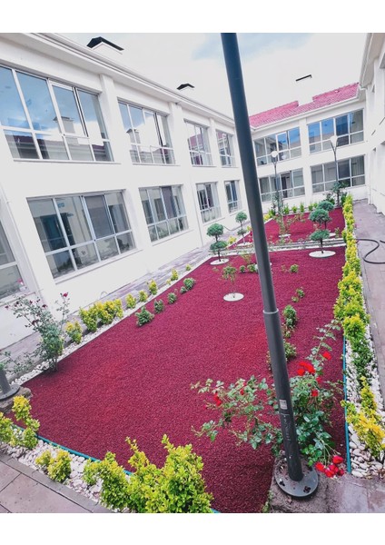 KARIŞIK Ponza Taşı Volkanik Cüruf 25-50MM 5LT Saksı Bahçe Akvaryum Teraryum Peyzaj Ponzası modelleri