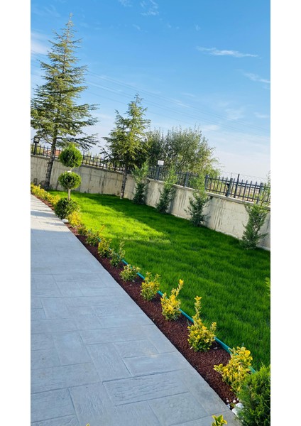 KARIŞIK Ponza Taşı Volkanik Cüruf 25-50MM 5LT Saksı Bahçe Akvaryum Teraryum Peyzaj Ponzası fırsatları