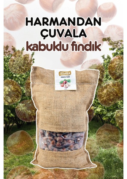Kabuklu Fındık 500GR