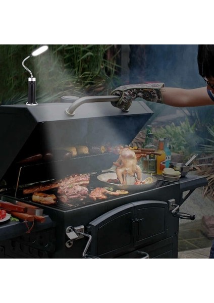 Panther PT-7602 Barbekü Feneri modelleri