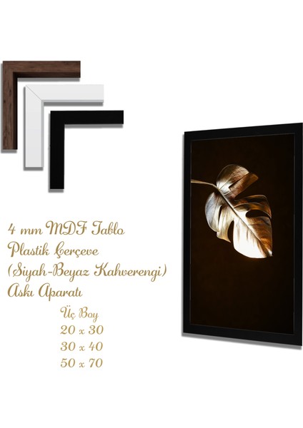 Ahşap Tablolar- Yapay Zeka ile Oluşturulmuş Görseller Uv Baskı-Mdf Tablo /2831