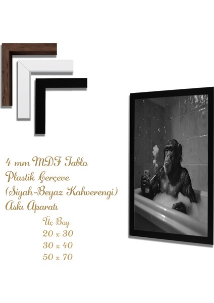 Ahşap Tablolar- Yapay Zeka ile Oluşturulmuş Görseller Uv Baskı-Mdf Tablo /2642