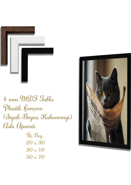 Ahşap Tablolar- Yapay Zeka ile Oluşturulmuş Görseller Uv Baskı-Mdf Tablo /2703