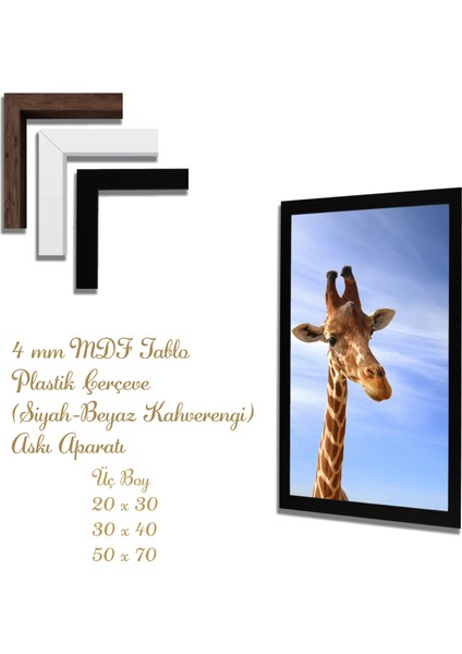 Ahşap Tablolar- Yapay Zeka ile Oluşturulmuş Görseller Uv Baskı-Mdf Tablo /5307