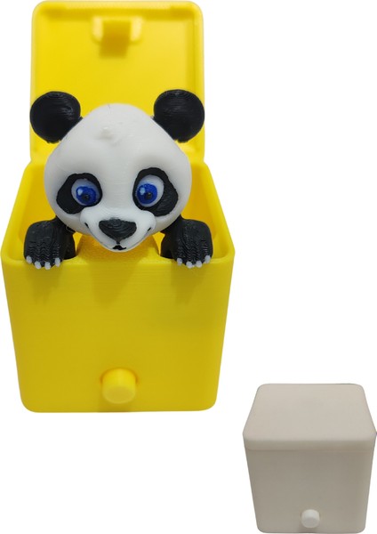 Sürpriz Panda Oyuncak Kutusu