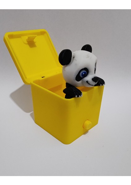 Sürpriz Panda Oyuncak Kutusu