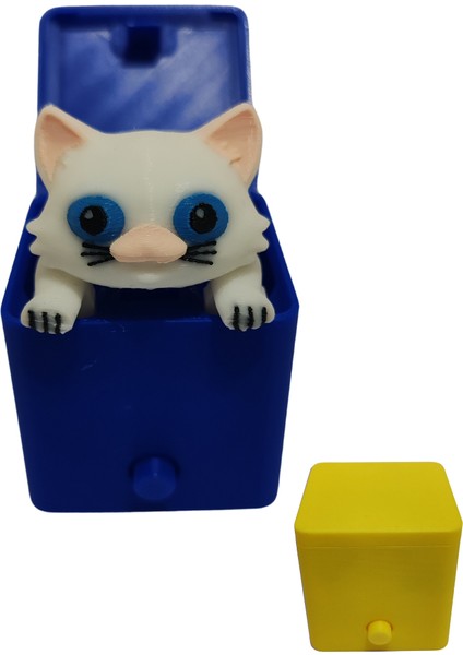 Sürpriz Kedi Oyuncak Kutusu