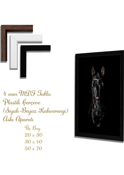 Ahşap Tablolar- Siyah Kısrak Karanlık Fon- Uv Baskı Mdf Tablo fiyatları
