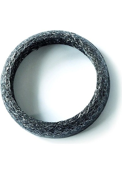 Clıo Eksoz Halkası