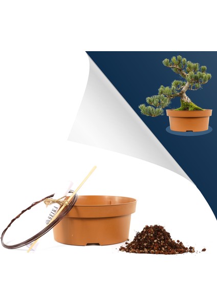 Bonsai Kurtarma ve Saksı Değişimi Kiti No.2 - Kahverengi