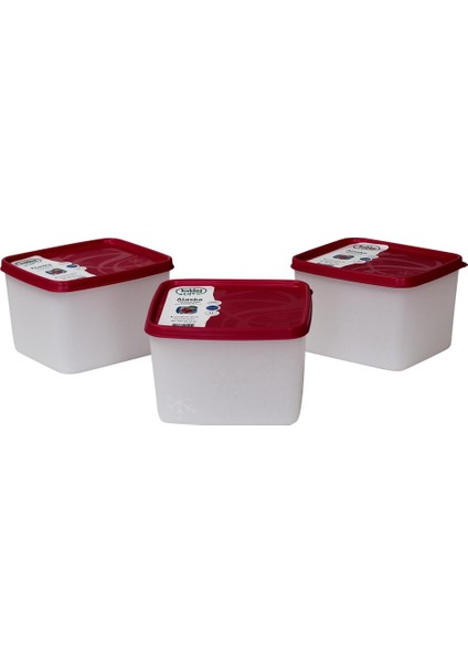 Alaska Nofrost Saklama Kabı 1,1 Litre 3'lü ( -20 Dereceye Dayanıklı )