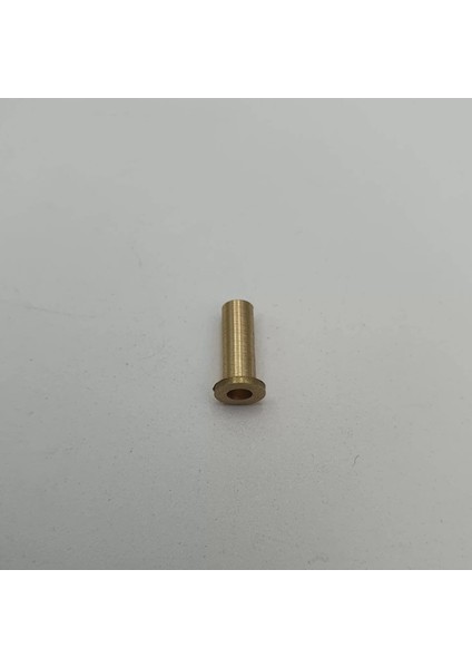 Sarı Pirinç Kapsül Fişek 10MM (Lisinya)