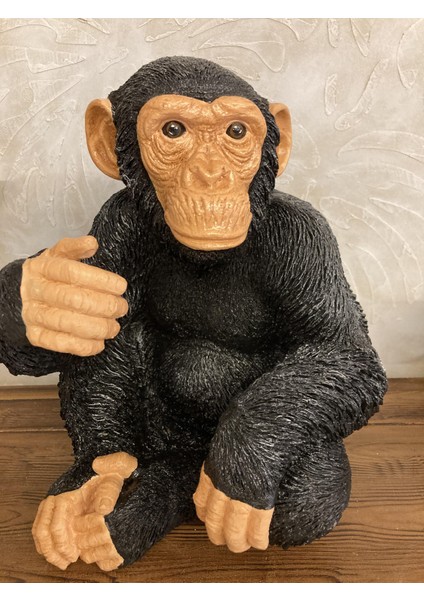 Maymun Oturan Büyük, Şempanze