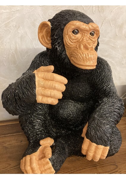 Maymun Oturan Büyük, Şempanze modelleri