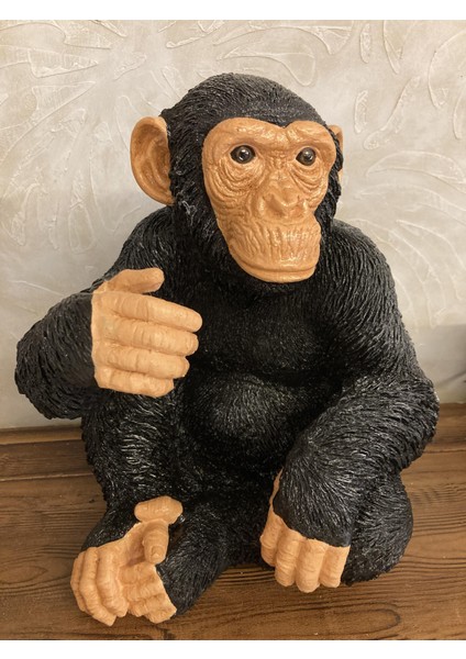 Maymun Oturan Büyük, Şempanze indirimleri