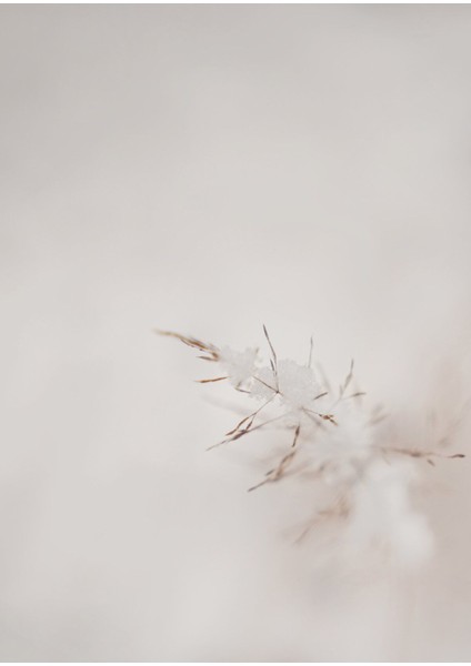 soft| Bitki Çiçek Kombini (Elegant) |çerçeveli Cam Tablo 3lü Dikey fiyatları